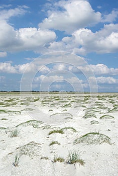 Beach of Sankt Peter-Ording North Sea North Frisia Germany photo