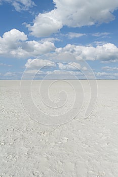 Beach of Sankt Peter-Ording North Sea North Frisia Germany photo