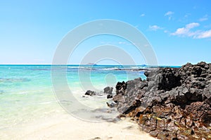 Beach Santa Cruz Galapagos photo