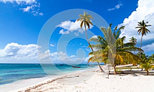 Beach in Saona Dominican Republic