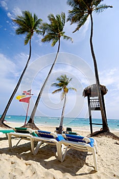 Beach at Saona Island, Dominican Republic