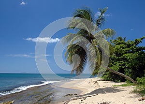 Beach Scene