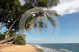 Beach Scene