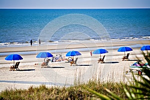 Beach Scene