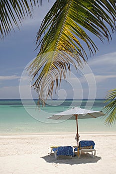 Beach Scene