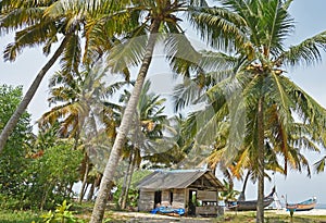 Beach scene at Alleppey