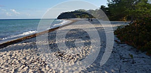 Beach Scene in Barbados, West Indies