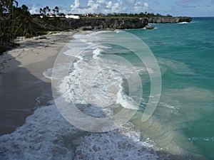 Beach Scene in Barbados, West Indies