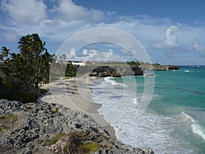 Beach Scene in Barbados, West Indies