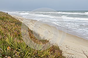 Beach Scene at Cape Canaveral, Florida