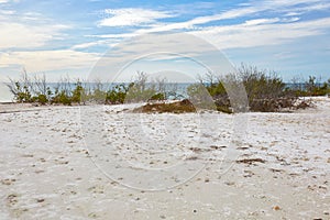 Beach Scene at Honeymoon Island State Park, Florida photo