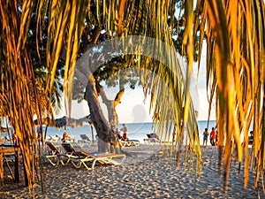 Framed beach scene at sunset