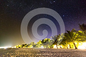 Beach scene at night. Stars and milky way with palm trees and sandy beach