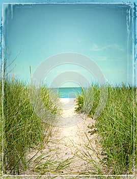 Beach Scene Photograph Illustration Bordered Path Beach Grass Water