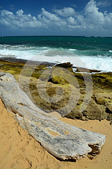 Beach Scene In San Juan