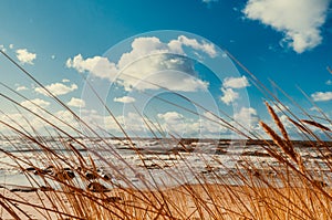 Beach Scene with sand, sea, dune grasses and sky