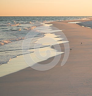 Beach Scene with Sandpipers