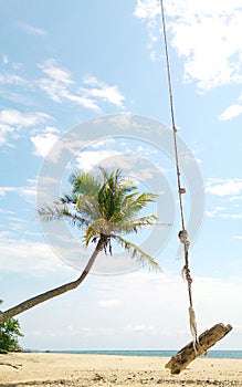 Beach scene with a swing on a palm tree