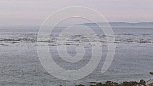 beach scenery of a north west beach in washington state