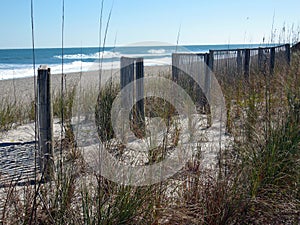 Beach Scenic