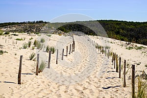 Beach sea access in sandy dunes and fence of atlantic ocean at lacanau coast in france