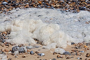 Beach sea foam on the shore. Organic spume from waves.