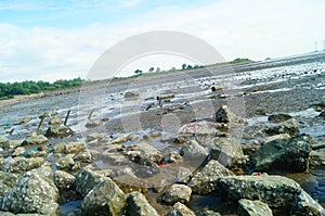 Beach and sea scenery in Dachan Bay, Xixiang