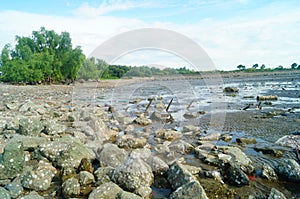 Beach and sea scenery in Dachan Bay, Xixiang