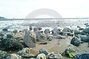 Beach and sea scenery in Dachan Bay, Xixiang