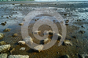 Beach and sea scenery in Dachan Bay, Xixiang