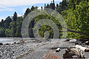 Beach at Seal Bay Nature Park, Comox Valley