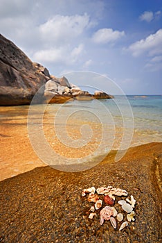 Beach with Seashells