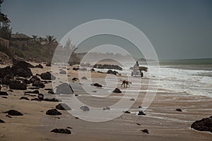 A beach in Senegal, Western Africa