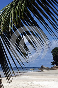 Beach on Seychelles Island