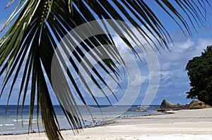 Beach on Seychelles Island