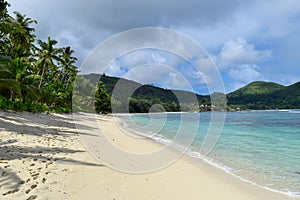 Beach in Seychelles, Mahe Island
