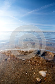 Beach with shells ending into the Sea