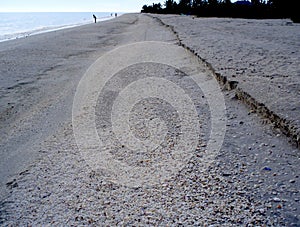 Beach with shells and erosion on Sanibel Island
