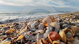 Beach with shells shining in the sun