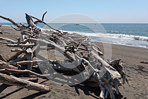 Beach shelter, made of driftwood