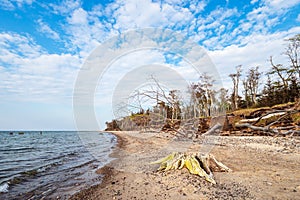 Beach on shore of the Baltic Sea in Graal Mueritz, Germany