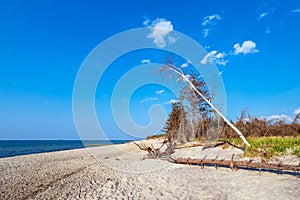 Beach on shore of the Baltic Sea in Graal Mueritz, Germany