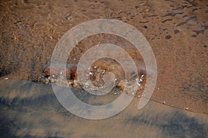 Beach at the Shore Line at Lake Superior, Michigan