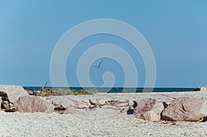 Beach on the shore of the ocean, the sea is a clear sunny summer