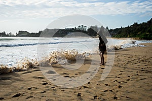 Beach shore wave froth