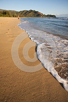 Beach Shoreline Jogger