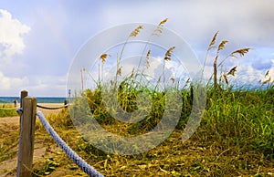 Beach Side Entrance with Plants Roped Off photo