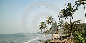 Beach side sorrunded with coconut trees photo