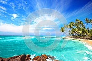 Beach side Sri Lanka with coconut trees