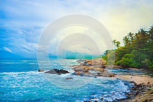 Beach side Sri Lanka with coconut trees